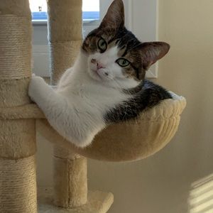 Meet your Posher, Tammy